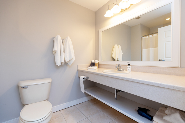 King Room, King Bed with Queen Sleep Sofa Photo 6