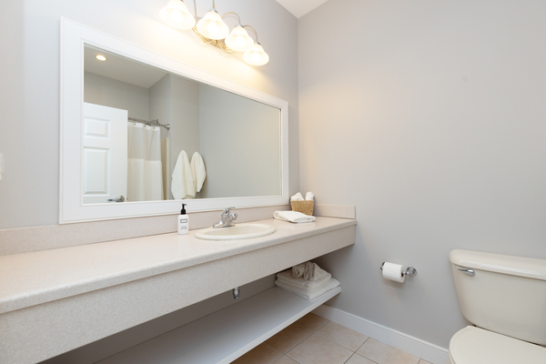 King Room, One King Bed Photo 6